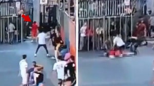 Bull Attacks Woman