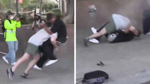 Protester Body Slammed