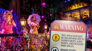 Tiana's Bayou Adventure at Disneyland warning