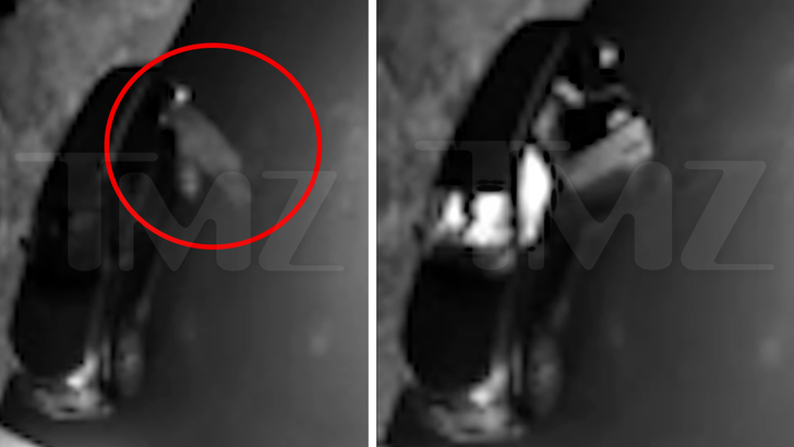 090526_bear_breaks_into_car_kal