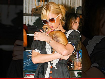 0421-paris-hilton-tinkerbell-dog-dead-INSTAGRAM-01