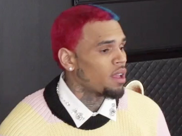 Woman Files Docs to Get Chris Brown Houston Show Canceled, Judge Denies Her.jpg