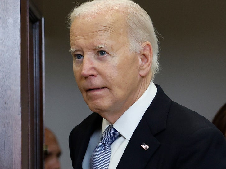 Joe Biden neutral primary