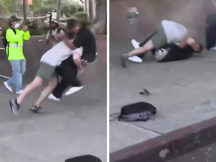 L.A. Protester Body-Slammed by Civilian After Chucking Can at Deputies, on Camera
