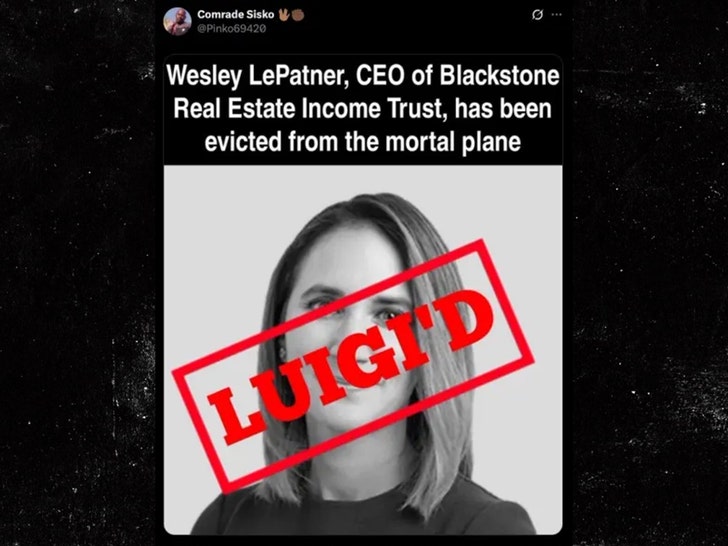Wesley LePatner luigi fans troll death X 1