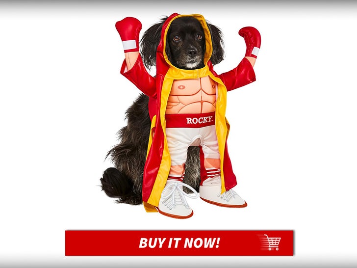 It's not about how hard your dog barks ... It's about how cute your pup looks dressed as Rocky Balboa!