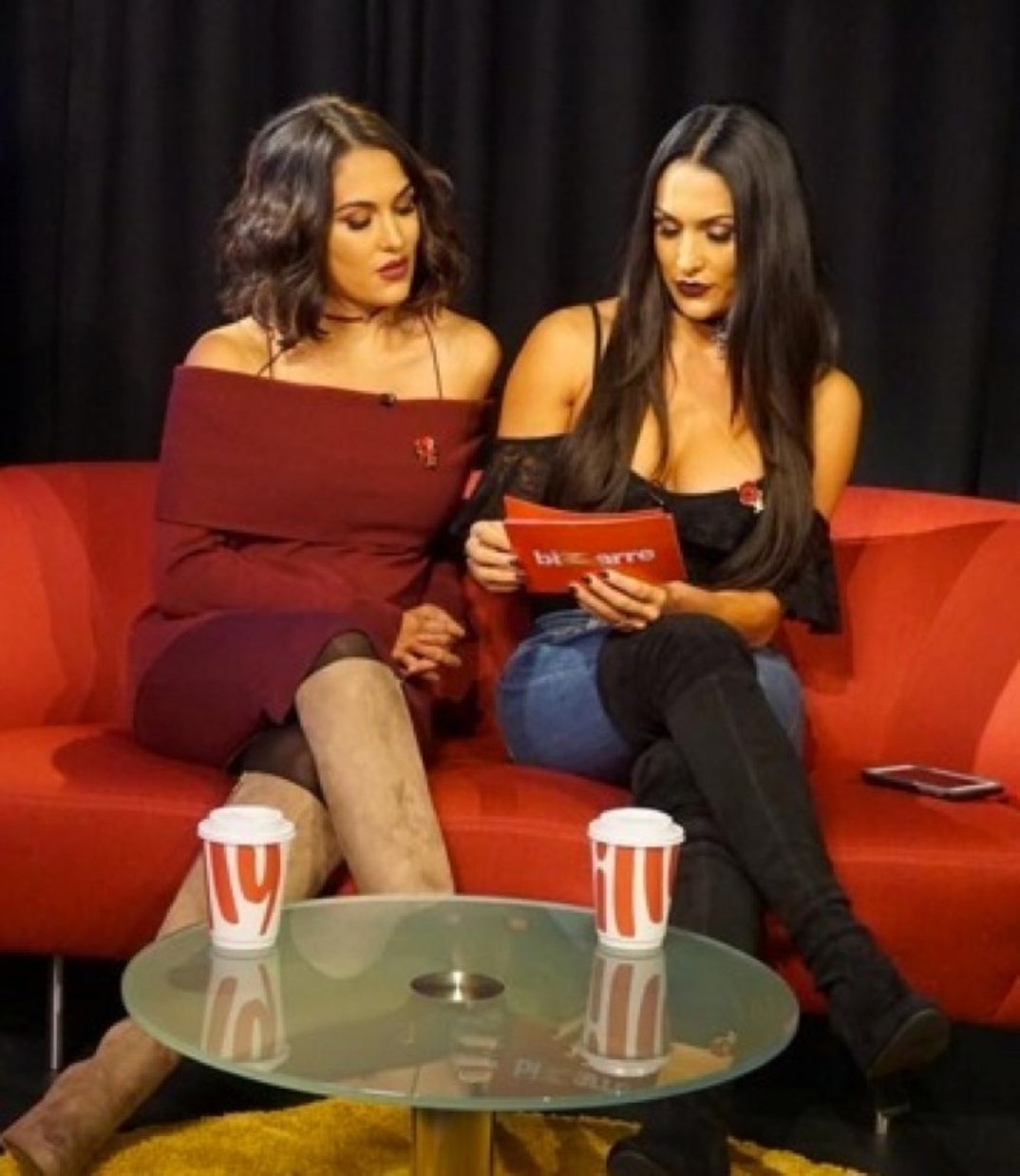 bella_twins_instagram48