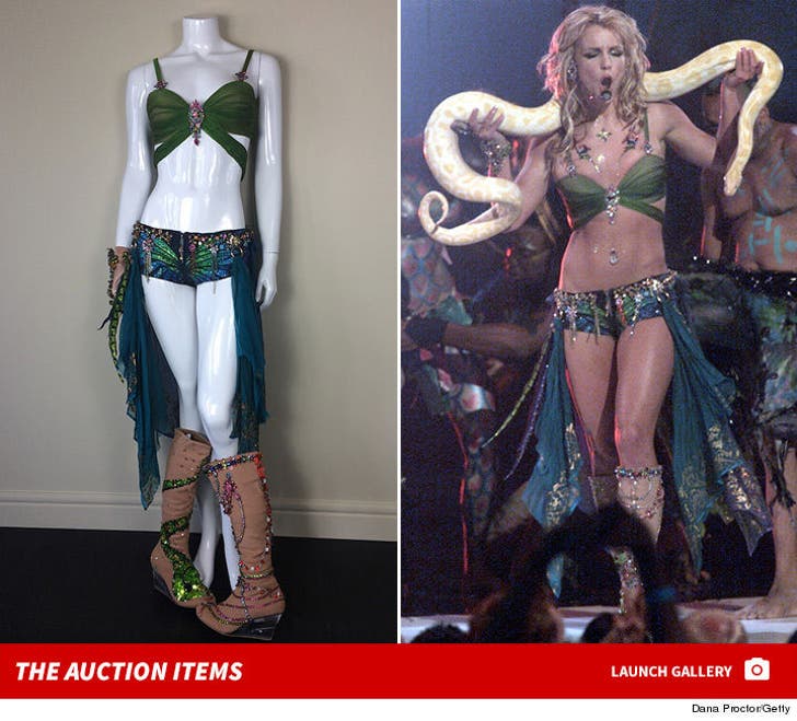 Britney Spears Costumes -- The eBay Auction
