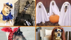 TMZ's Pet Costume Photo Gallery -- Scary Good!
