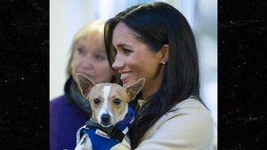 Meghan Markle Poses with Cute Dog at Animal Welfare Charity