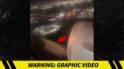 121324-bird-plane-graphic-kal