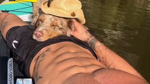 0506-Christian-Hogue-Dogs-Cuddling-Guess-Who-hero