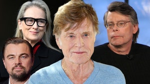 leo dicaprio stephen king robert redford and meryl streep getty 1