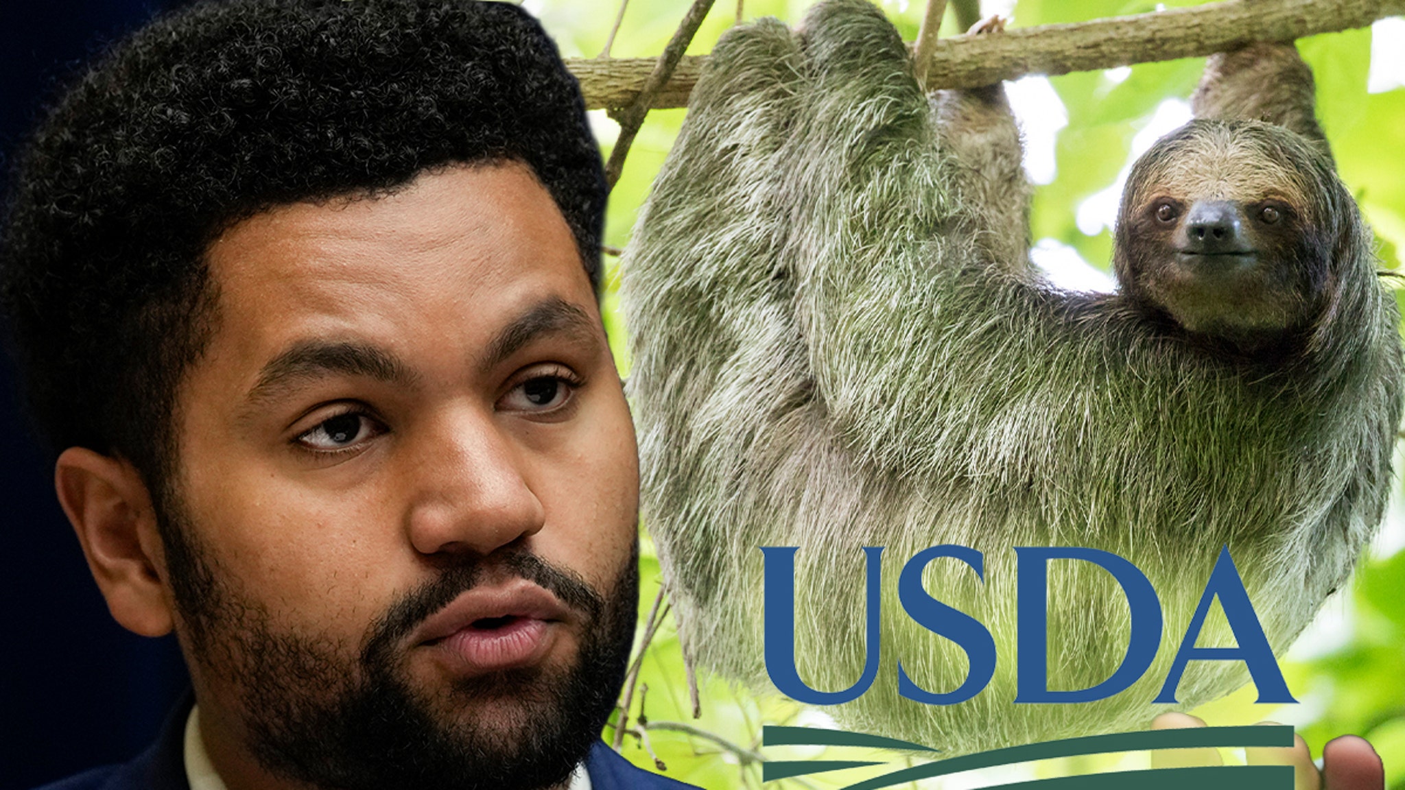 Florida Congressman Calls for Investigation Into Sloth World After 31 Sloths Die
