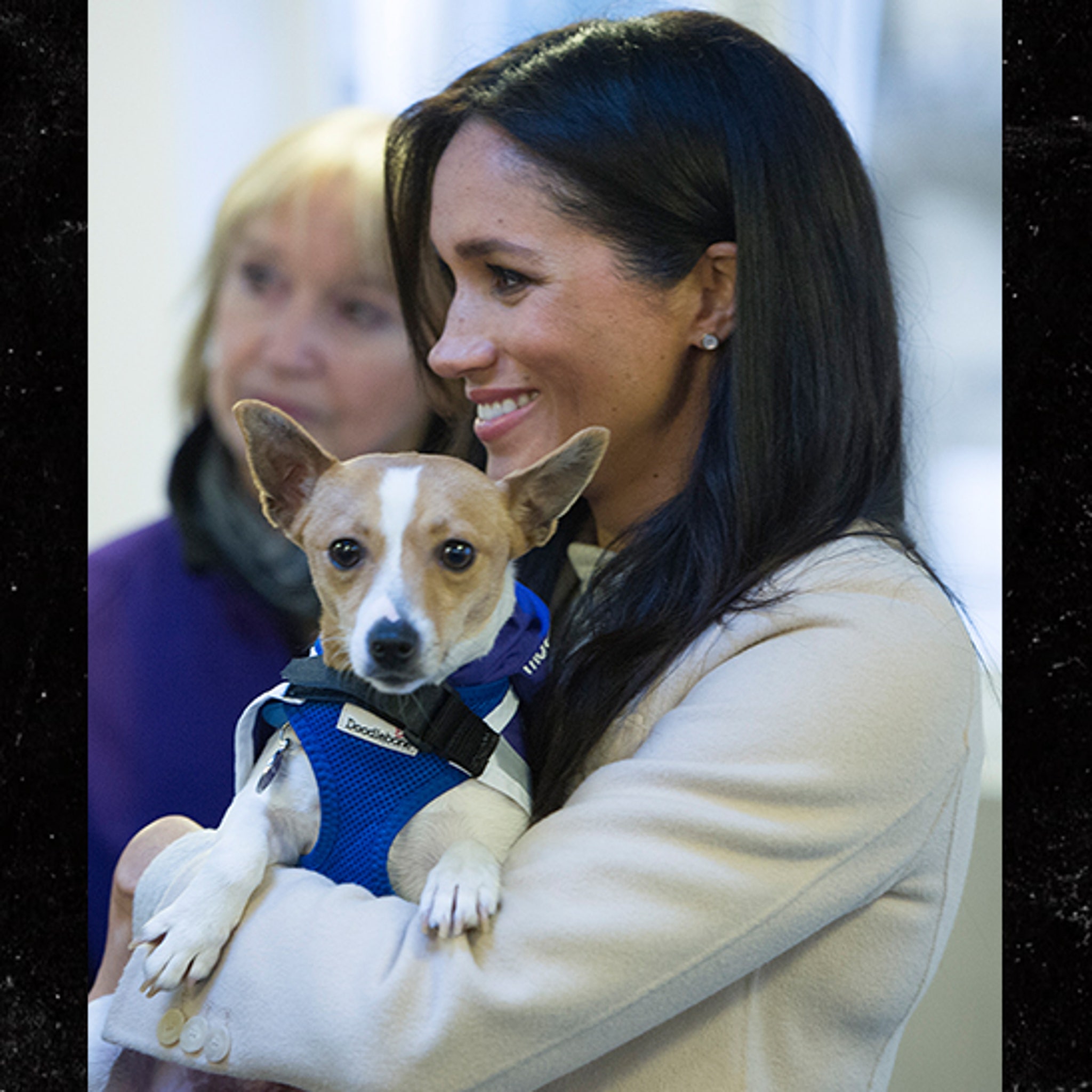 Meghan Markle Poses with Cute Dog at Animal Welfare Charity