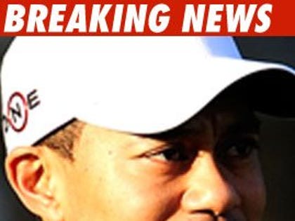 0219_tiger_woods_getty_bn_01