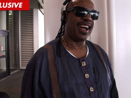 090211_stevie_wonder_still_v2