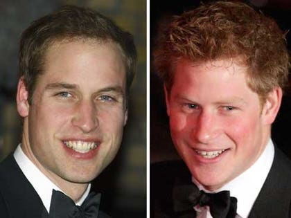 Prince Will and Harry