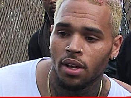 0504-chris-brown-tmz-01