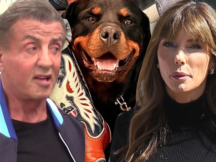 sylvester stallone jennifer flavin