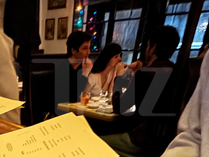 dakota-johnson-tmz-1