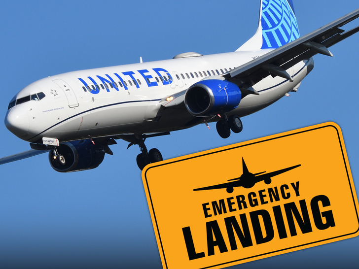 main united airlines landing