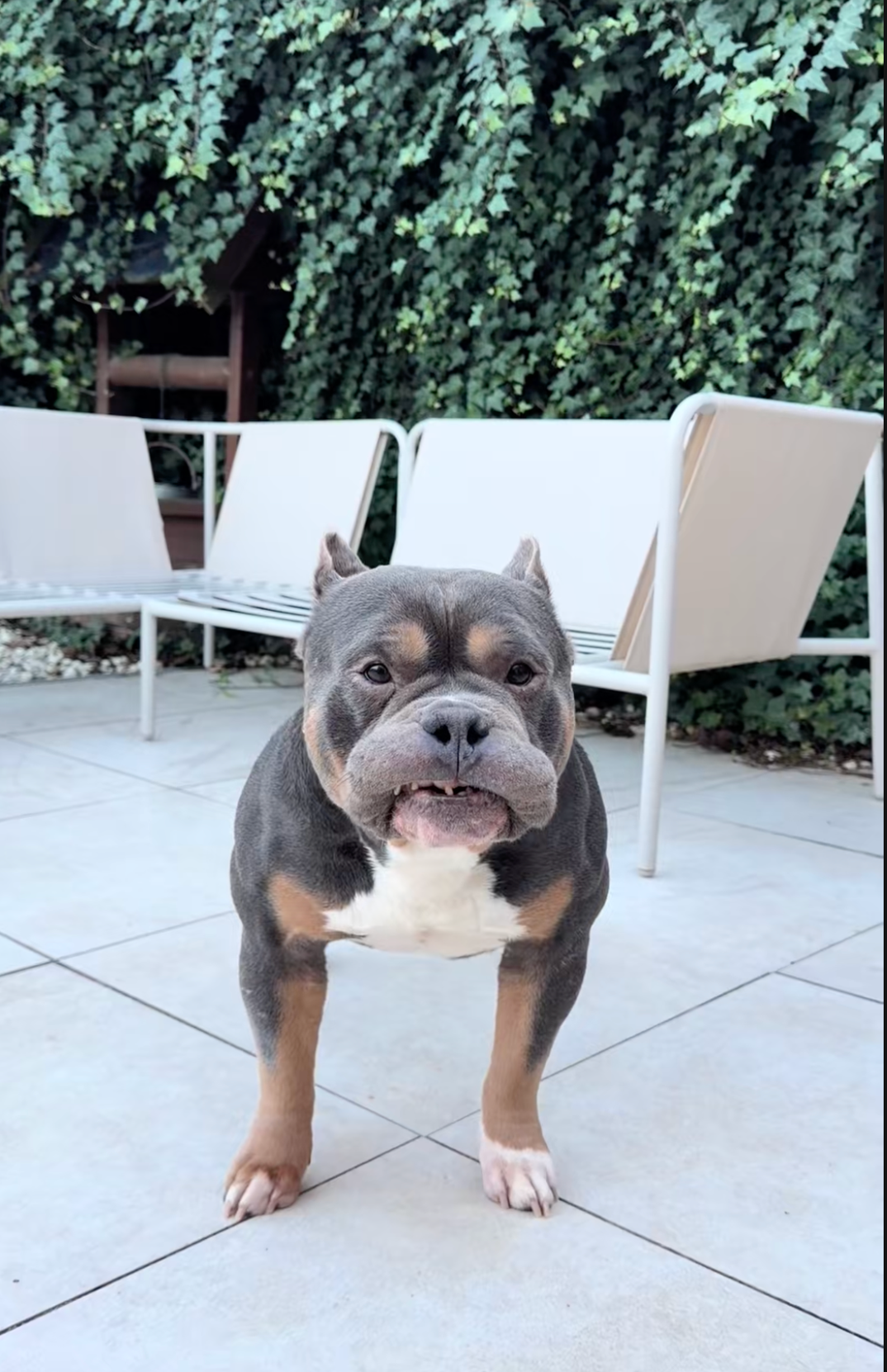 Screenshot 2025-12-25 at 5.44.09 AM