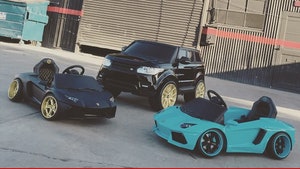 Chris Brown -- I’m Giving Royalty All My Rides … Just Smaller Versions