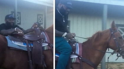 rick-ross-horse
