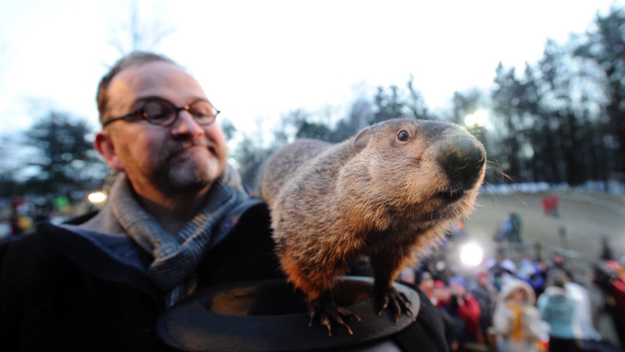 Punxsutawney Phil Through The Years