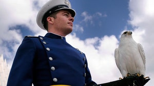 Air Force's Majestic Falcon Mascot Aurora Dead at 23