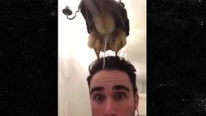 Video Shows Owl Pooping On Man's Head