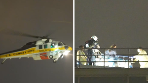 100126 avalon helicopter crash primary