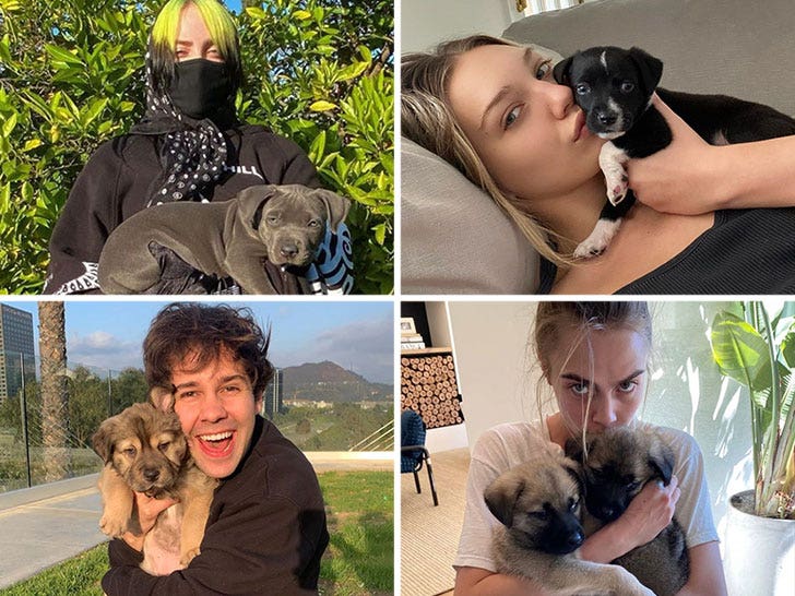 The stars isolate with their pets - nice company!