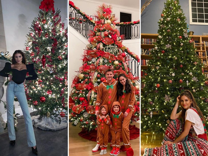 Celebrity Christmas Tree 2020