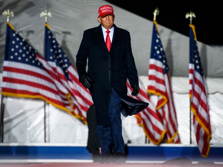 Donald Trump on The Campaign Trail