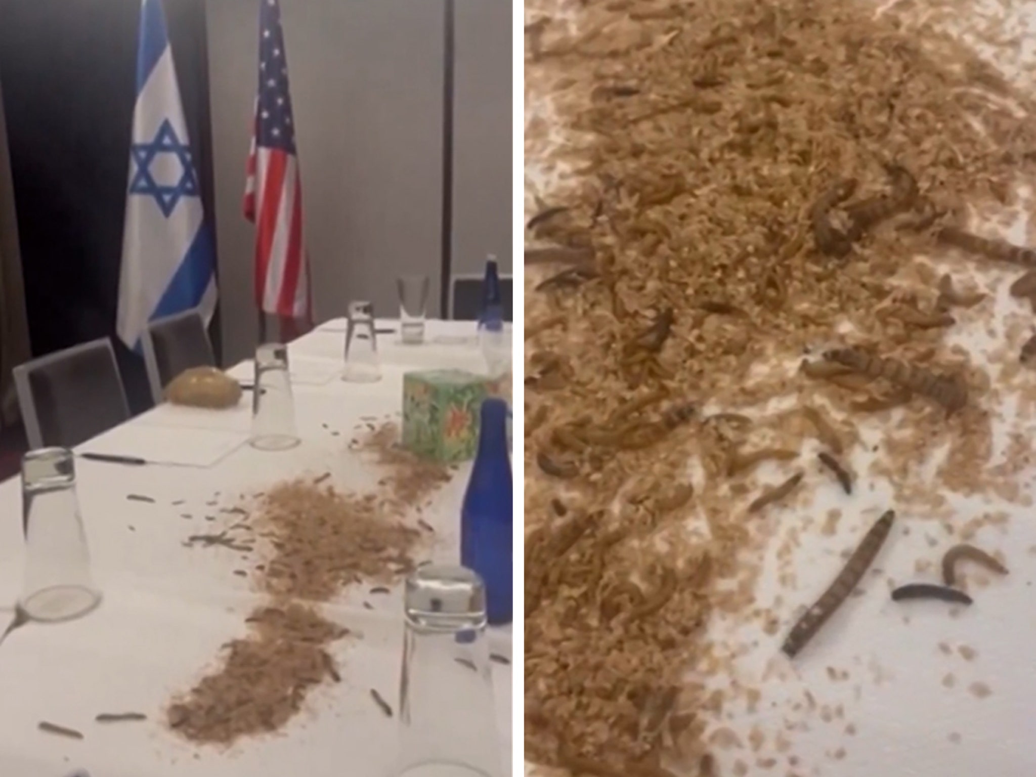 Pro-Palestinian Protesters Unleash Maggots, Crickets Inside Netanyahu's  Hotel