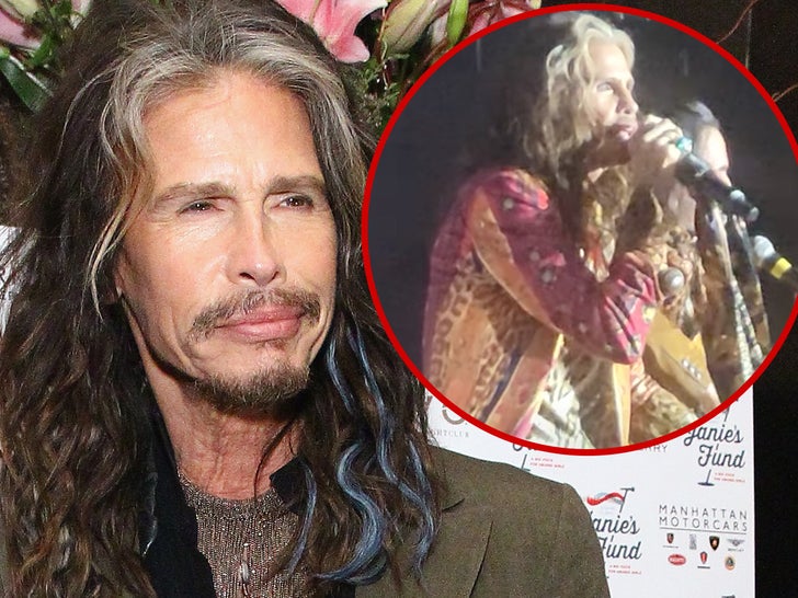 Steven Tyler bernyanyi