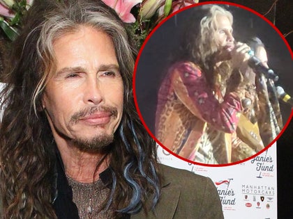 steven tyler SINGING