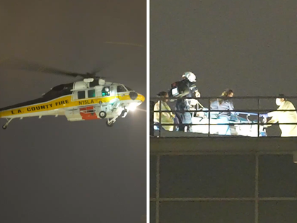 100126 avalon helicopter crash primary