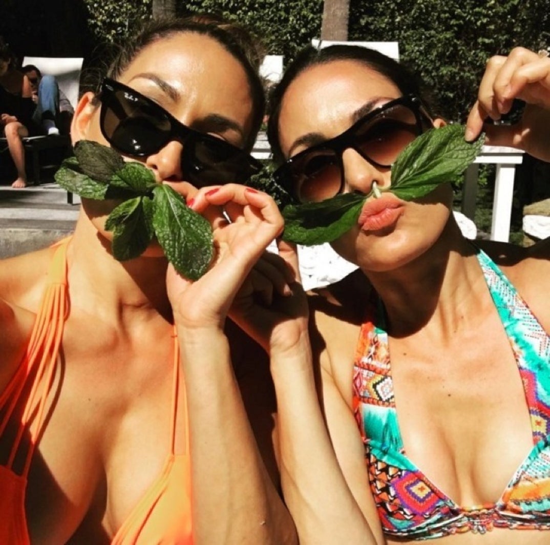 bella_twins_instagram40