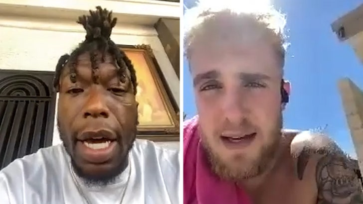 Jake Paul Rips 'Old, Retired' Nate Robinson, NBA Star Vows To KO 'Bird Head Ass' :: 0_r92oha8e :: 0_zn30x3ni