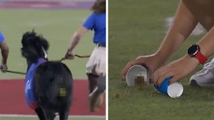 SMU Mascot Cause Massive Delay At Football Game After Pooping On Field