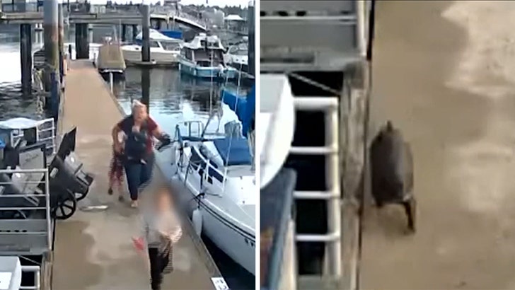 Otter Chases Family After Allegedly Attacking Child, Video Shows