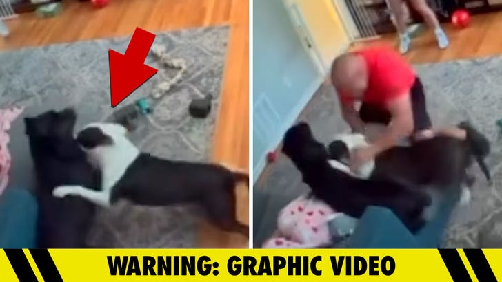 031226_dog_abuse_before_kal