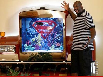 1016-shaq-fish-tank-animal-planet