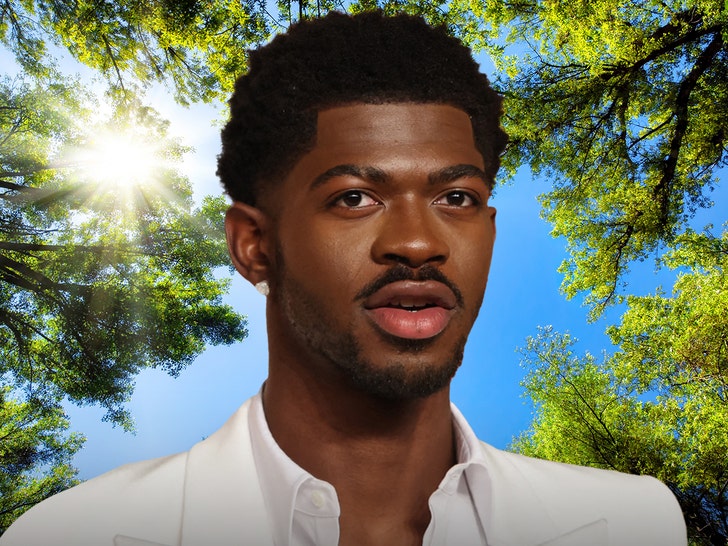 Lil Nas X getty 1