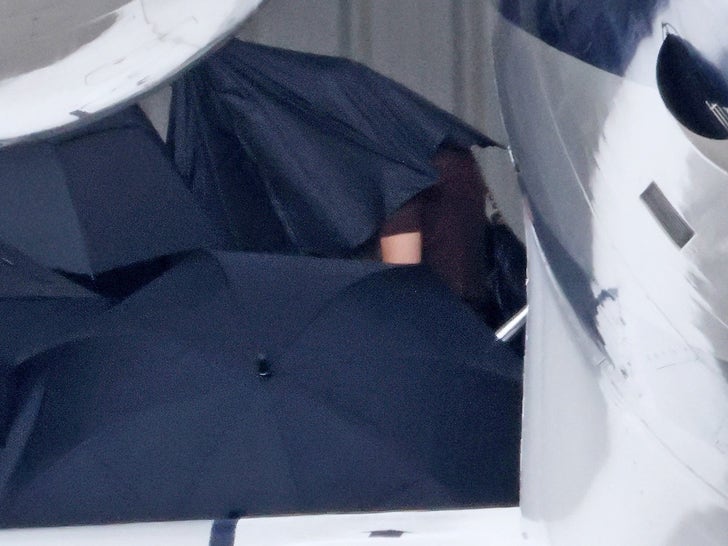 Taylor Swift Lands in California For Selena Gomez's Wedding, Covers Up with Umbrellas