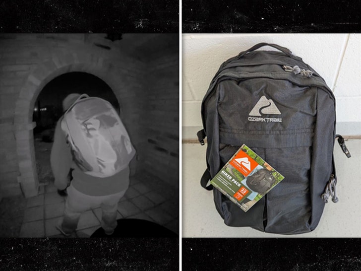 nancy guthrie suspect backpack 1