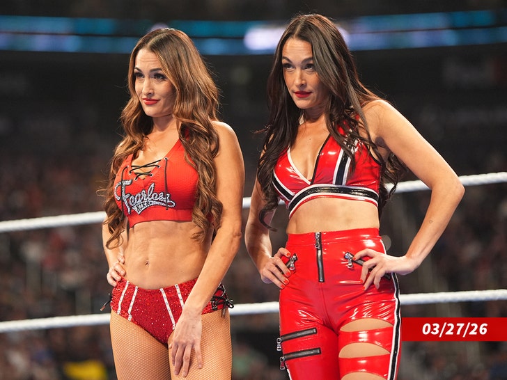 sub-nikki-bella-brie-bella-getty-1